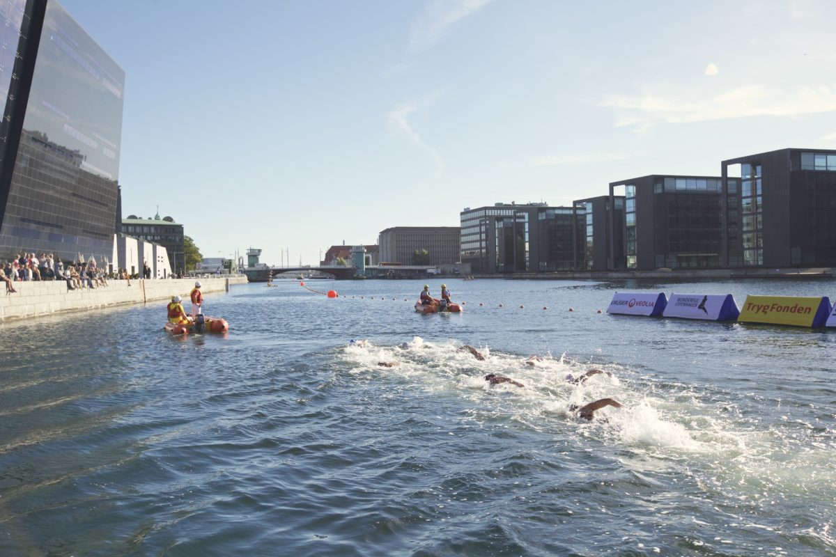 Image courtesy of Jesper Westley / Dansk Svømmeunion