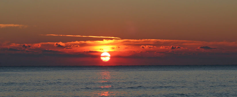 Óli og Alvi á Mare Nostrum stevnu í Canet