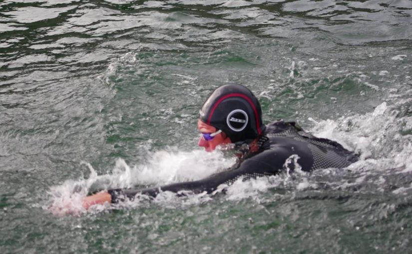 Colting svam allan vegin runt um Gotland