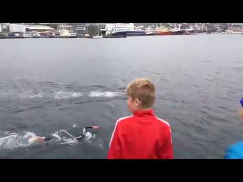 Vár vann ólavsøkusvimjingina